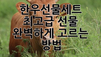 한우선물세트: 최고급 선물, 완벽하게 고르는 방법