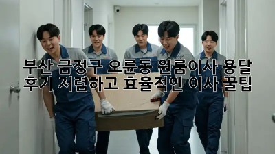 부산 금정구 오륜동 원룸이사 용달 후기: 저렴하고 효율적인 이사 꿀팁! ✨